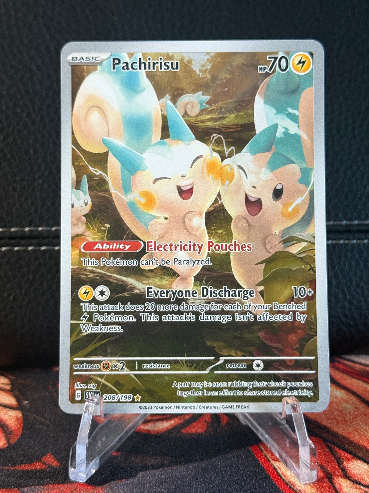 Pachirisu #2