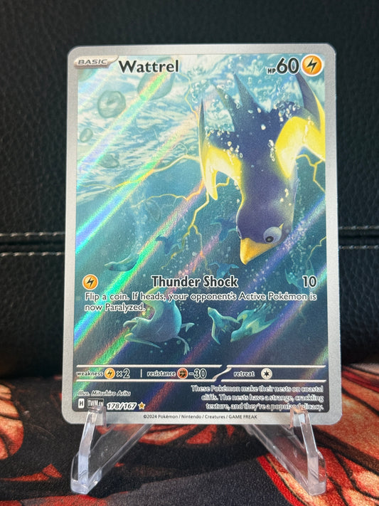 Wattrel #2