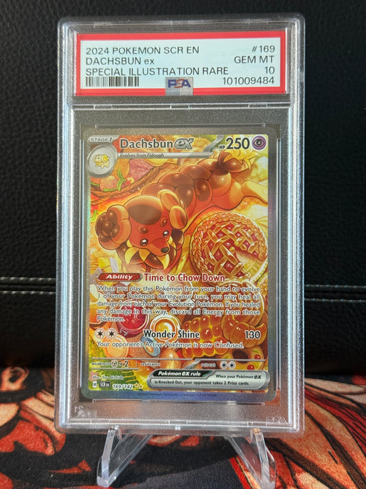 Dachsbun EX PSA 10