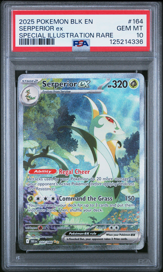 Serperior EX #164 - Black Bolt - PSA 10